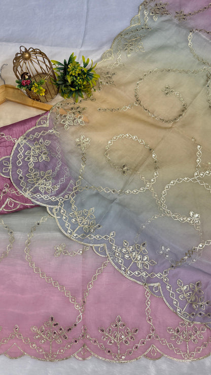 Elegant Shaded Cutwork Saree